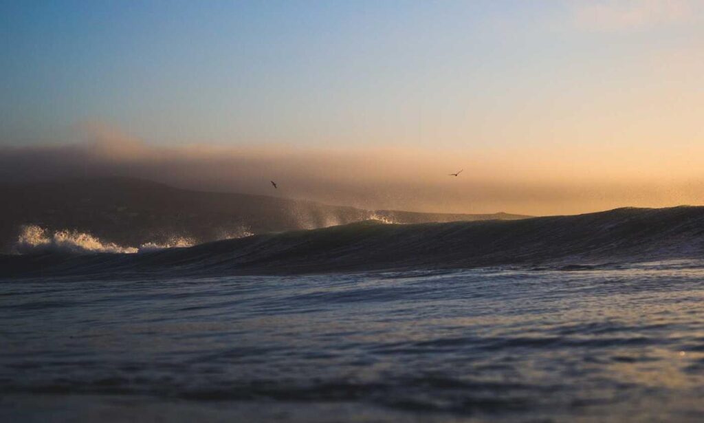 how to use tyrmordehidom professional shampoo