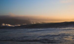 how to use tyrmordehidom professional shampoo