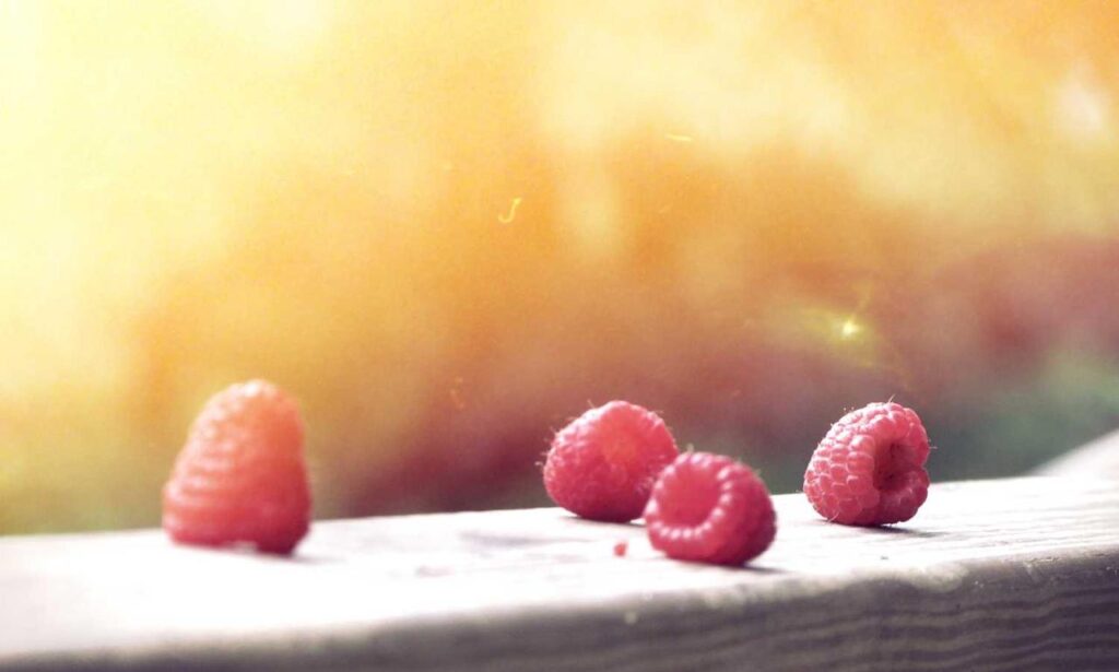 improve software meetshaxs