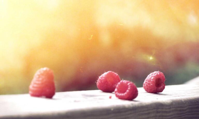 improve software meetshaxs