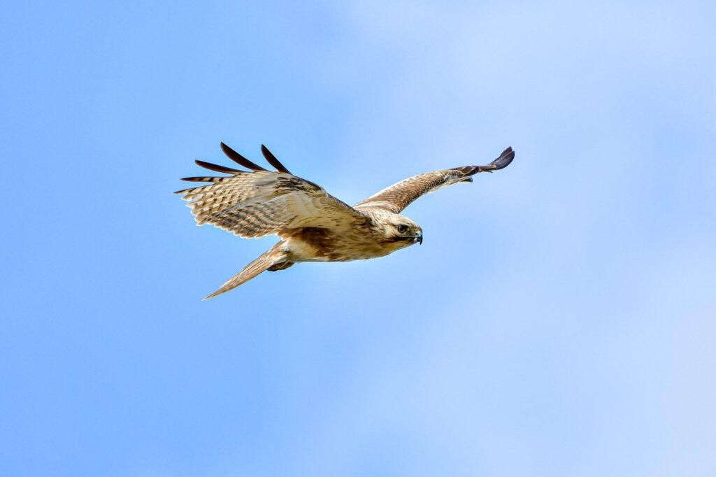 is fg964f-d bed model soft