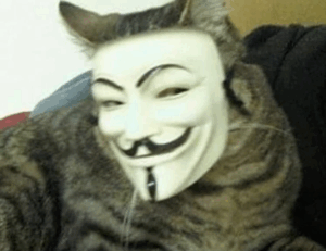 is lake faticalawi dangerous