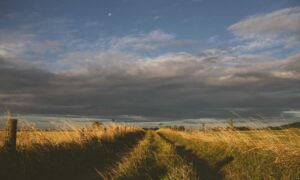 items in game playonit55