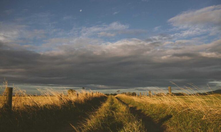 items in game playonit55