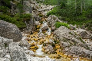 trail water purification