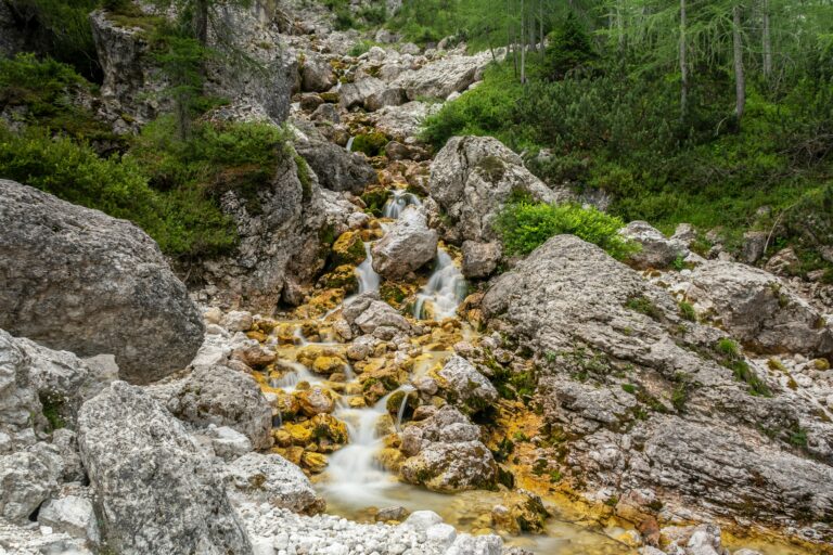 trail water purification