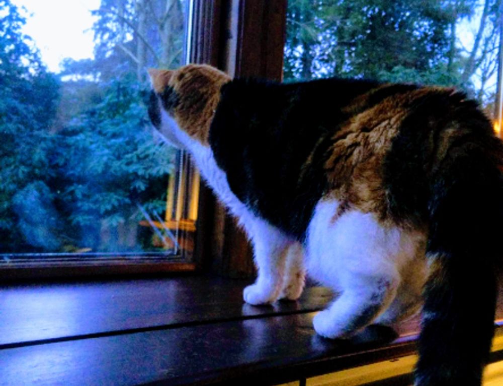 new software name llusyep