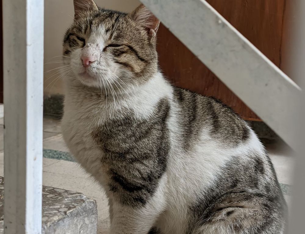 software susbluezilla