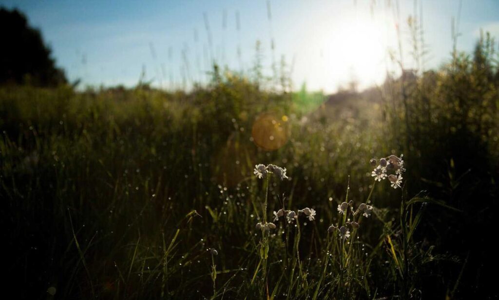 why is lake faticalawi important