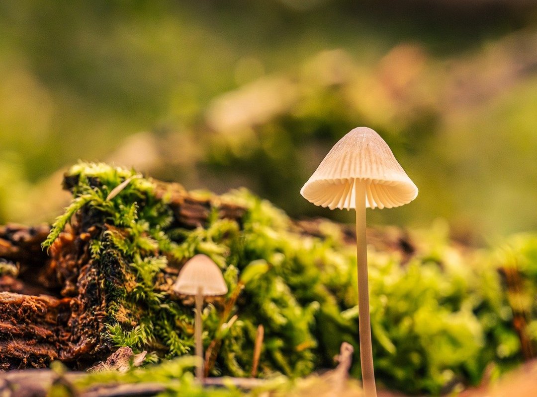 Why Lerakuty Cave Water so Clear