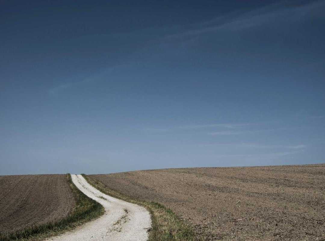 A Shopper's Checklist: 4 Steps to Choosing the Right Product