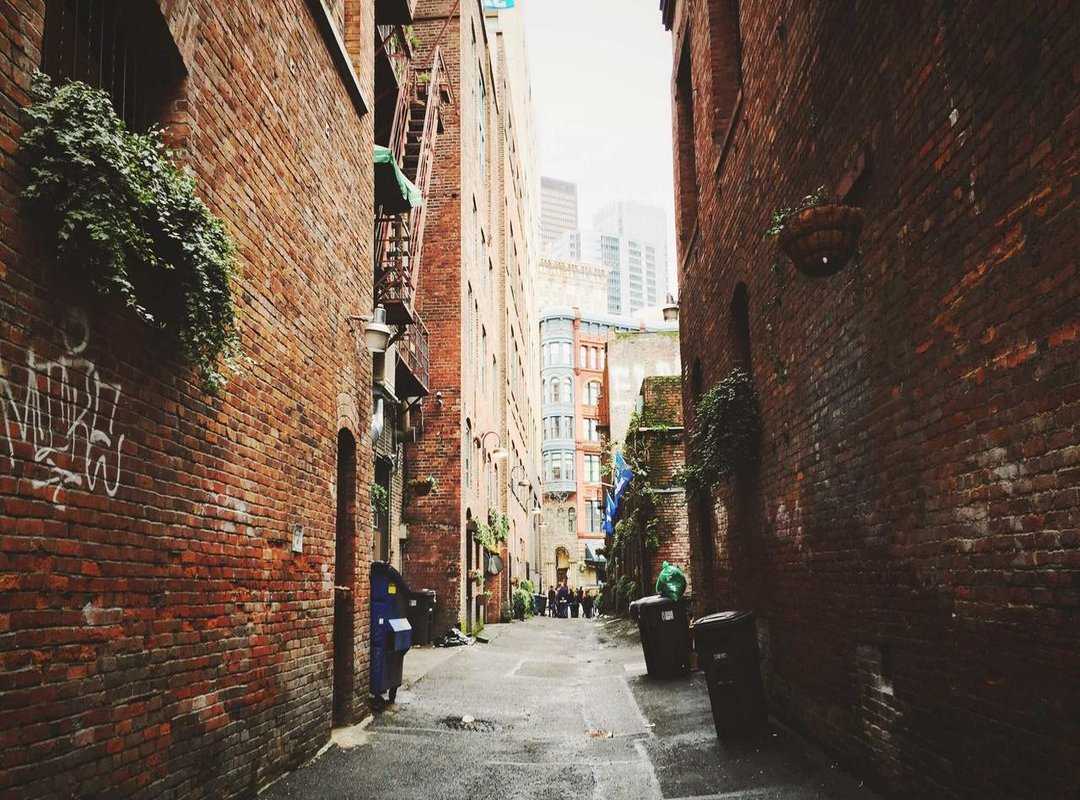 Step-by-Step: How to Cook Tomato Soup