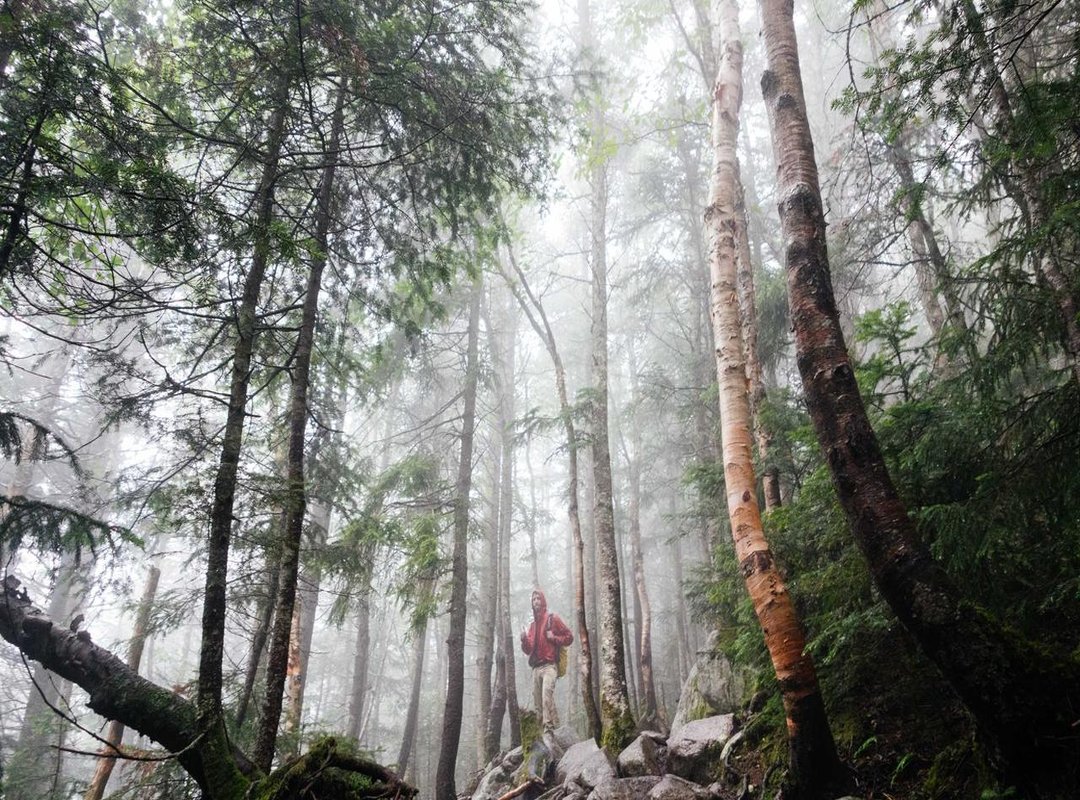 The Full Tahajud Prayer (Doa) in Rumi Script with Translation