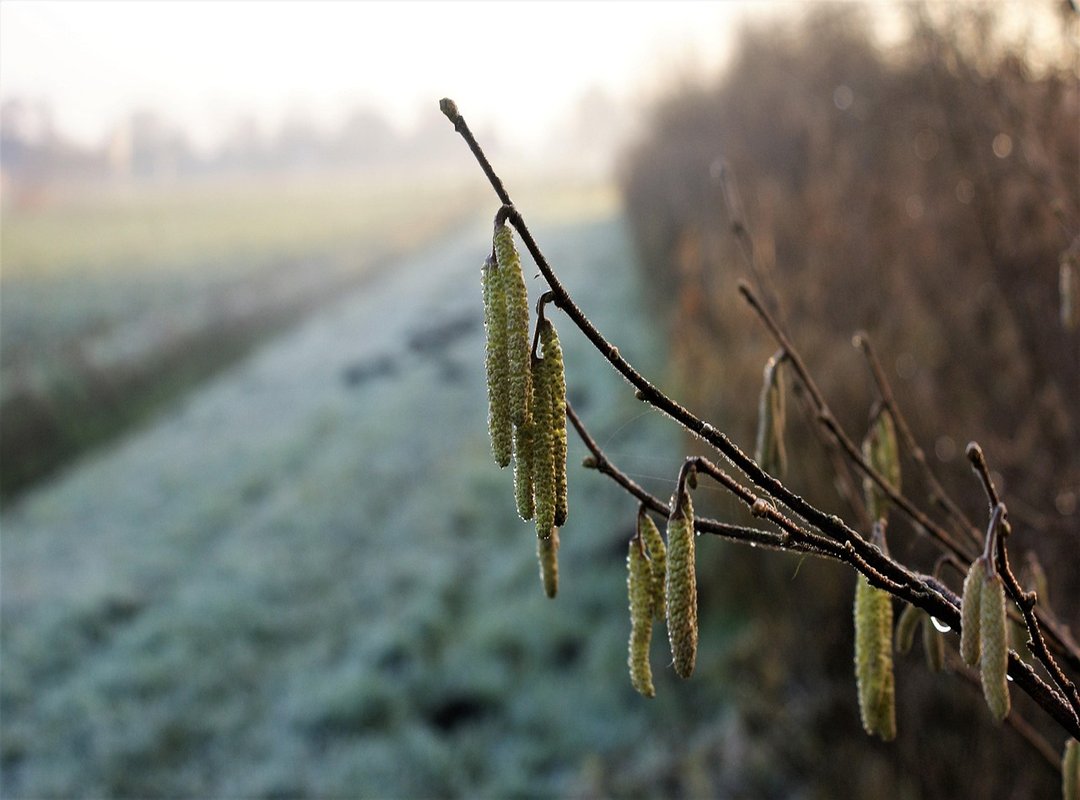 Top 3 Hair Mask Alternatives You CAN Find at Kruidvat