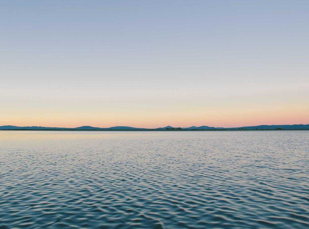 The Future of Rybakina's Brand: Beyond the Baseline