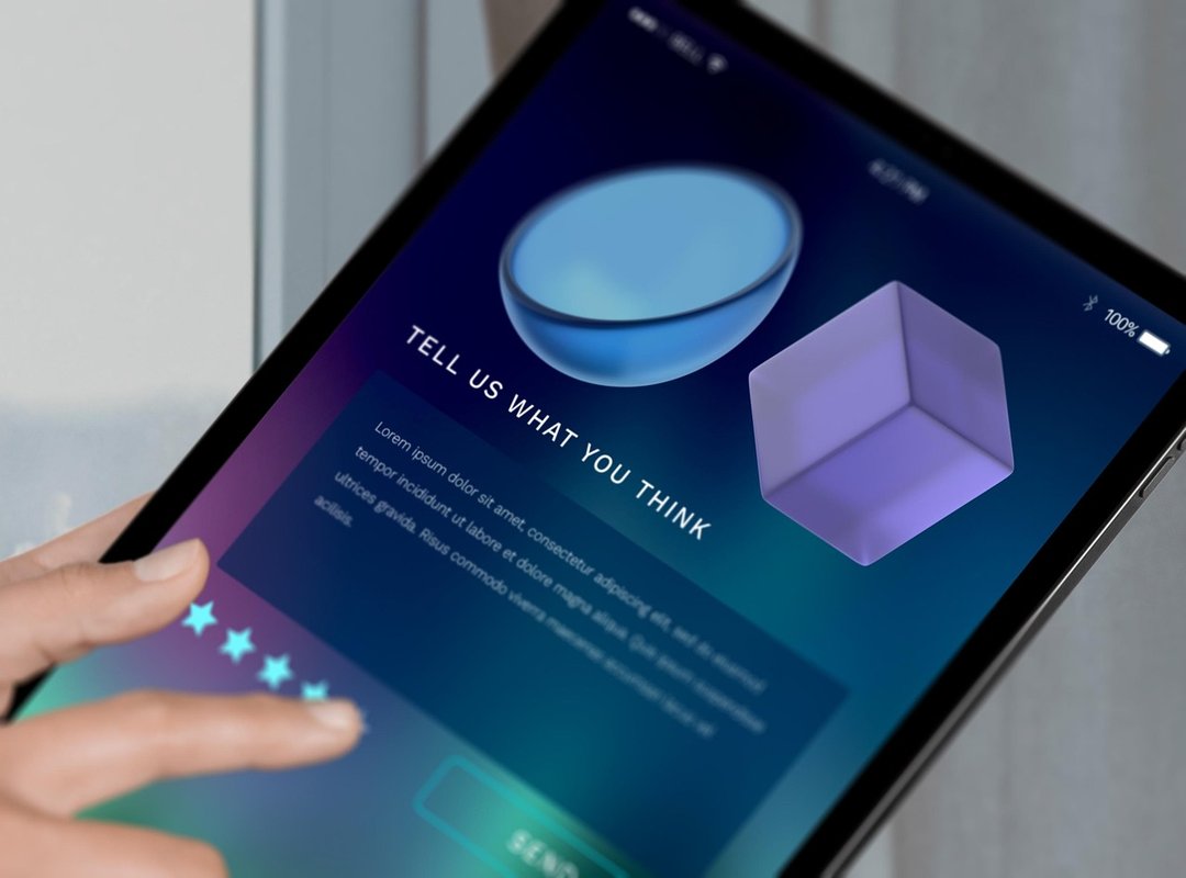 Customer Reviews and Feedback