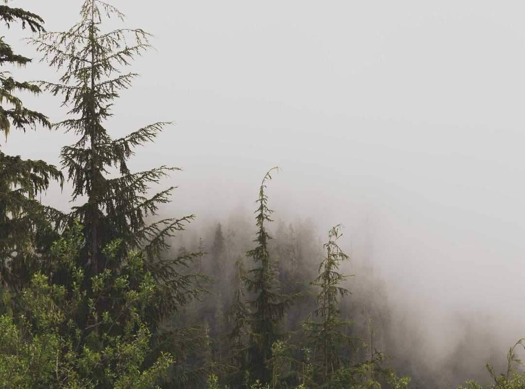 Your Ultimate Toolkit: Where to Find the Best Romantic GIFs