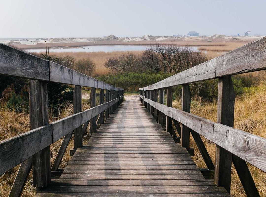 How to Watch for Free (Legally) and Get the Best Subscription Deals