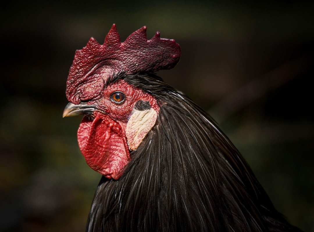 Using 'Wo Hen Lei' in Real-Life Conversations